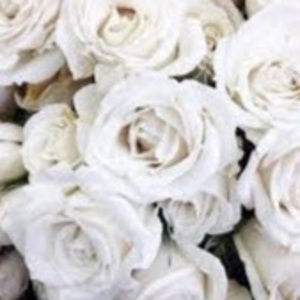 Meet your Posher, Chelsea